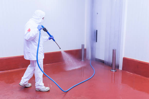 Best Pre-Holiday Cleaning  in Lakewood, WA