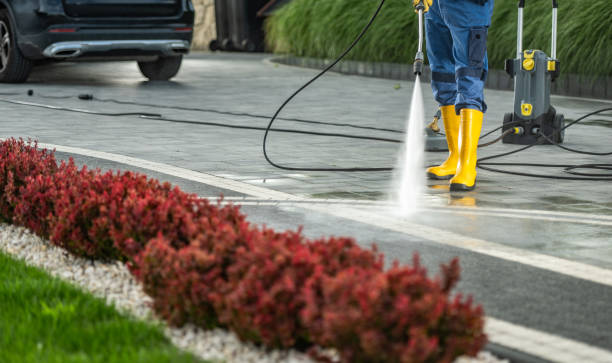 Best House Exterior Washing  in Lakewood, WA